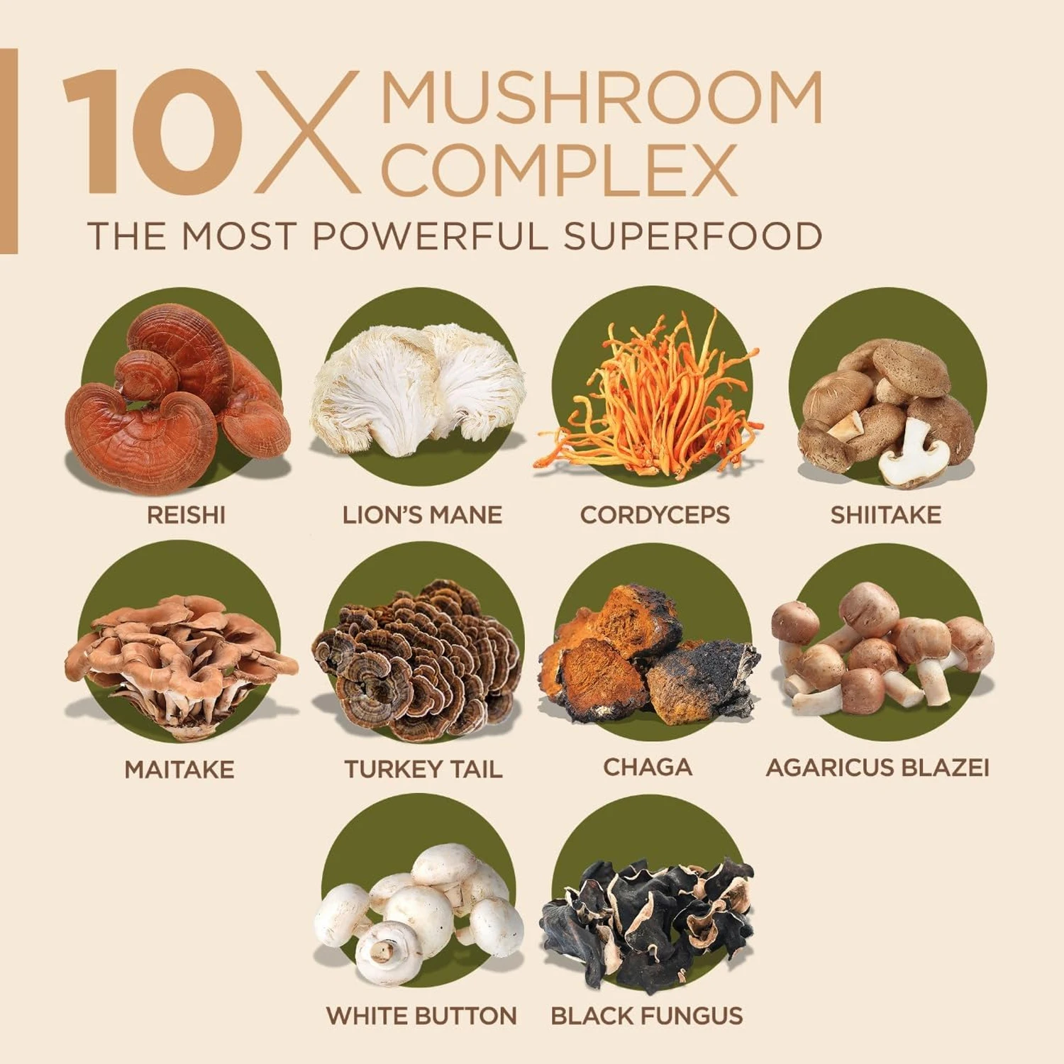 10 капсул комплексного грибног – обзор и цена Lion Mane Mushroom