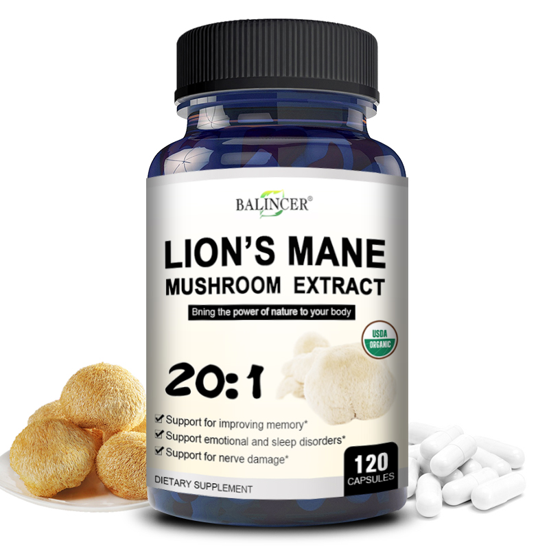 Lion's Mane - Nootropic Brain  – обзор и цена Lion Mane Mushroom