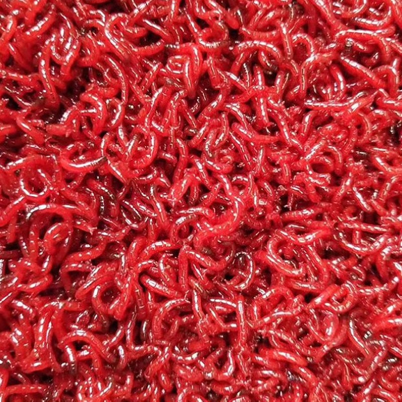Порошок из красного червя, при – обзор и цена Krill Oil Supplement