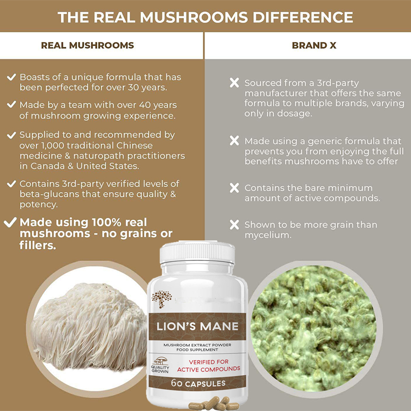 Грибные капсулы Lion Mane Gano – обзор и цена Lion Mane Mushroom